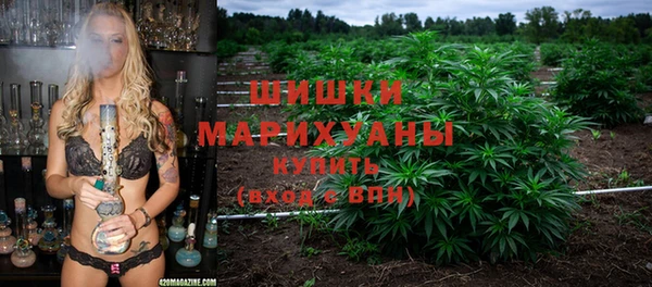 шишки Белоозёрский