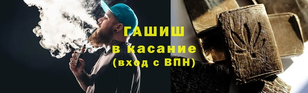 шишки Белоозёрский