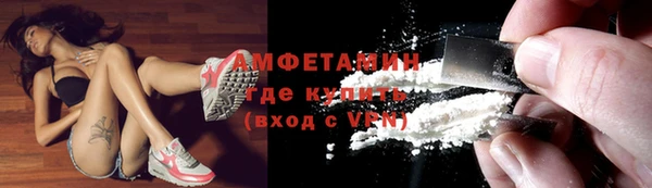 шишки Белоозёрский