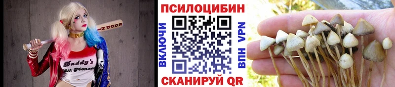 Галлюциногенные грибы мицелий  цена   blacksprut ССЫЛКА  Красноперекопск 